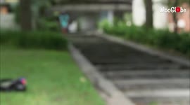 'Ouch-Inducing Longboarding Fail in Gainesville, Florida'