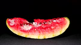 Ewww! YouTuber documents mould growing on watermelon slice in week-long timelapse
