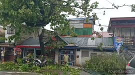 Typhoon Conson blows downs trees as it lashes eastern Philippines
