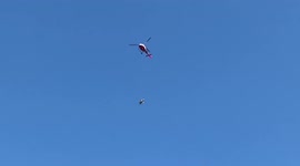 Injured Swiss cows over the moooon after airlift from mountain pastures