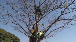 Bolsonaro supporters gather in Brasília, Brazil