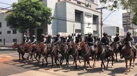 Mounted police in Goiânia, Brazil