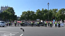 UK anti-vaxxers gather outside Parliament campaigning against use of 'health passports'