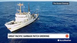 Massive collection of trash growing in the Pacific Ocean