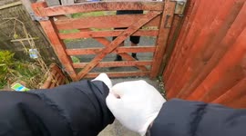 DPD scam caught on camera, stolen phones and agency driver organised crime ring busted
