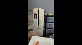 Toddler hides in the cupboard peekaboo cute playtime