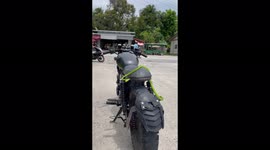 Thailand green snake ask for a ride