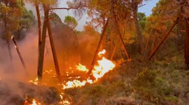 Firefighter dies in effort to extinguish blaze ripping through mountainside in Spain