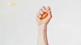 The Benefits of Having a Dog Will Make You Love Yours Even More