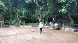 Stable owner gives free horse riding lessons to children with special needs