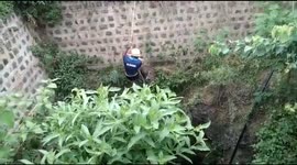 Peahen and its five chicks were rescued safely from a well in south india