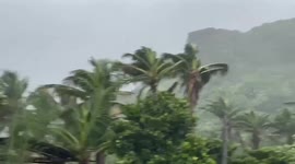 Trees sway and grass moves as violent winds hit Batanes archipelago, Philippines