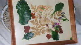 Flower Pressing Art wall picture made from leafs and flowers