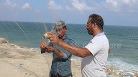 Palestinian man takes out a quail from a net after catching it on a beach