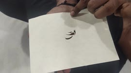 Stencil art: Talented artist creates a parrot shape with scissors