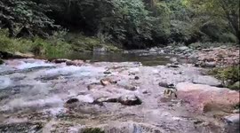 가만히 보고만 있어도 좋다. 물 흐르듯이 나도 흐르고 싶다. 풍경 좋다.