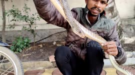 Rescuer runs out of tricks to dislodge snake hiding inside pipe in western India