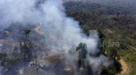 Despite a ban on outdoor fires, the Amazon rainforest is ablaze again
