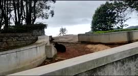 Angry bear charges at man after being woken up