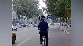 Dog balances on owner's shoulders as he cycles along road in China