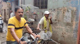 Cute Animal & Bird's wants freedom in India