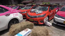 Scrap taxis rusting during Covid-19 converted into VEGETABLE patches (with English subtitles)