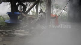 Sweet Panda From Beijing, China Enjoys Spray Cooling On A Hot Day