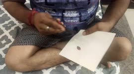 This cutting has been done by scissors on hand made paper. This is the world famous This cutting has been done by scissors on hand made paper. This is the world famous amazing art of India art of India