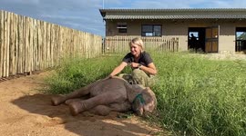 Orphaned albino elephant, Khanyisa, enjoys a sand bath with HERD founder, Adine Roode
