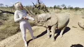 Orphaned baby albino elephant, Khanyisa, receives a milk bottle from HERD founder, Adine Roode