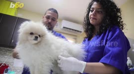 This Pet Clinic Is New For This Area of the World