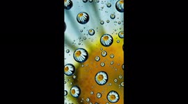 Michigan man shows how he takes magical photos of flowers INSIDE water droplets