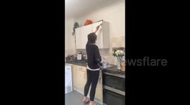 Single mum-of-two shows how she transformed the kitchen and living room of her RENTED home – with just £218