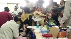 Indian doctors working to identify strain of dengue fever that has claimed more than 60 lives