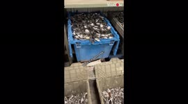 'Canadian silverware artist creates 'Zen Frog' using only spoons, forks & nuts '