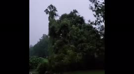 Tropical Storm Nicholas Hits Brazoria, Texas