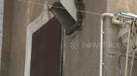 Python naps on top of city hall’s air vent in Thailand