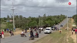 Traffic stopped as elephant herd cross busy road in Kenya