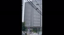 Japan: Monkey Spotted In Central Tokyo