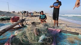 Palestinian fishermen sort out crabs from on the shore of the Mediterranean Sea