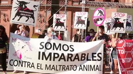 Manifestación antitaurina de la organización antitaurina PACMA e en Madrid que documenta los festejos que considera