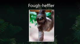 What animals should be called (according to AI)