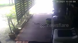 Terrifying moment snake slithers towards man’s legs as he loads washing machine