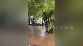 Family and pet dog climb onto house roof during flood in Thailand