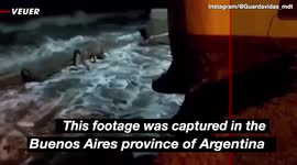 Harrowing Footage Shows the Moment Waves Drag an Entire Home into the Sea