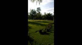 Nature is beautiful no comparison of wealth of nature, sunshine, lush green beauty