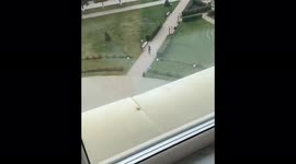 The shooter is heading to the university