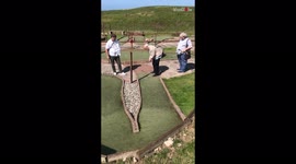 ''Tiger Woods who?' Man nails unbelievable shot while playing beach golf
'