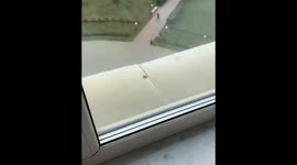 Russia university shooting: Video of gunman walking, students jumping from windows