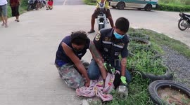 Stray dog with head stuck in jar for two days finally rescued